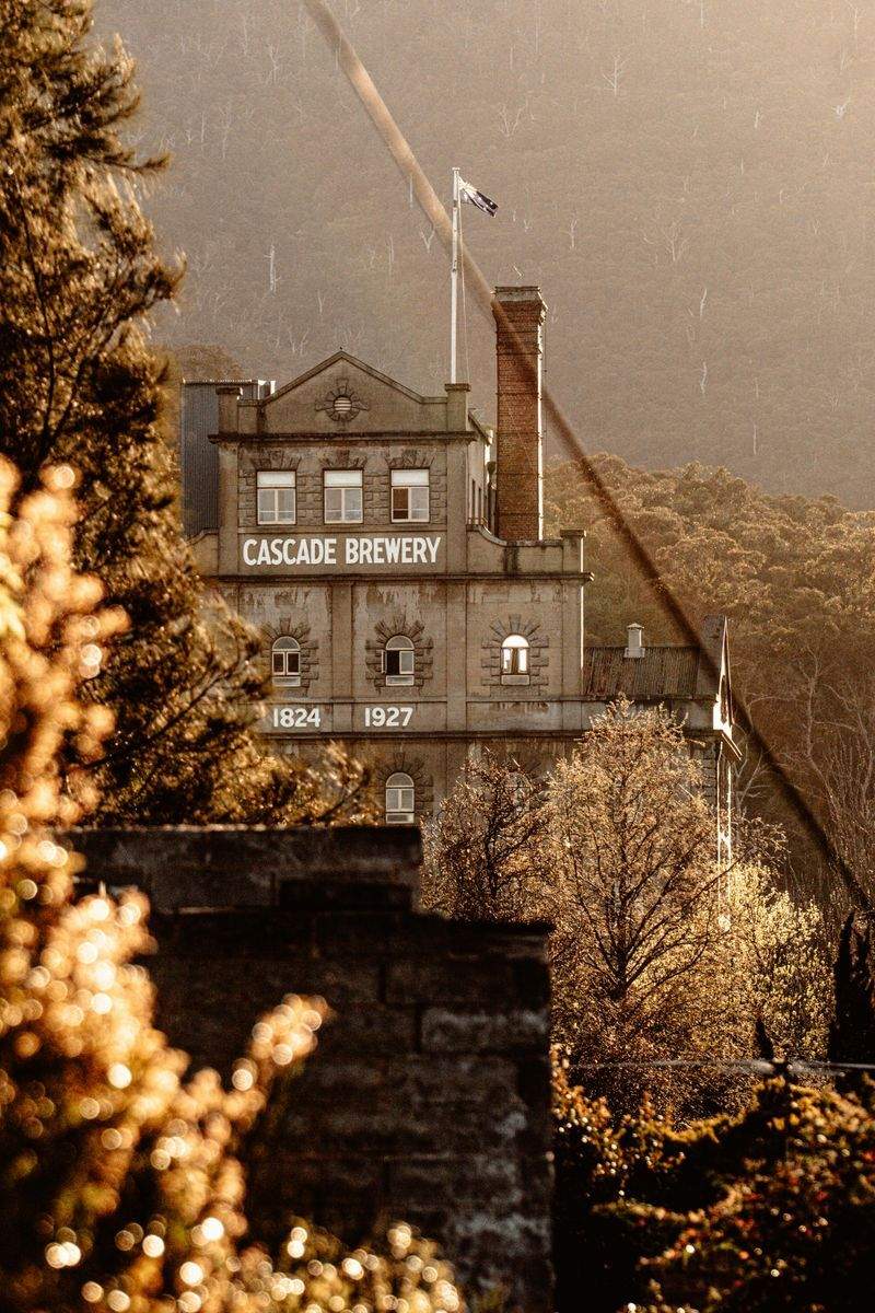 xezobo.site - Image 6