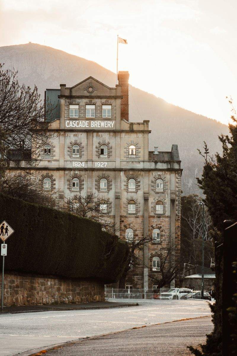 xezobo.site - Image 8