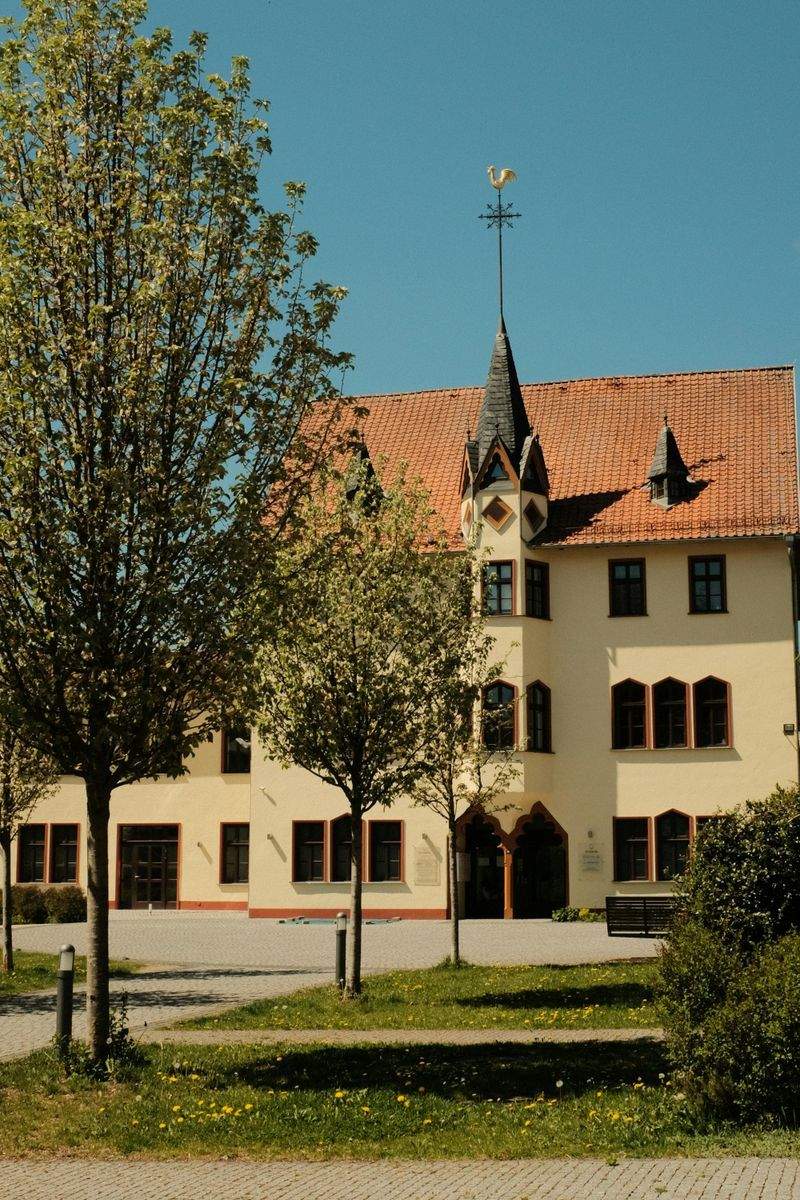 xezobo.site - Image 9